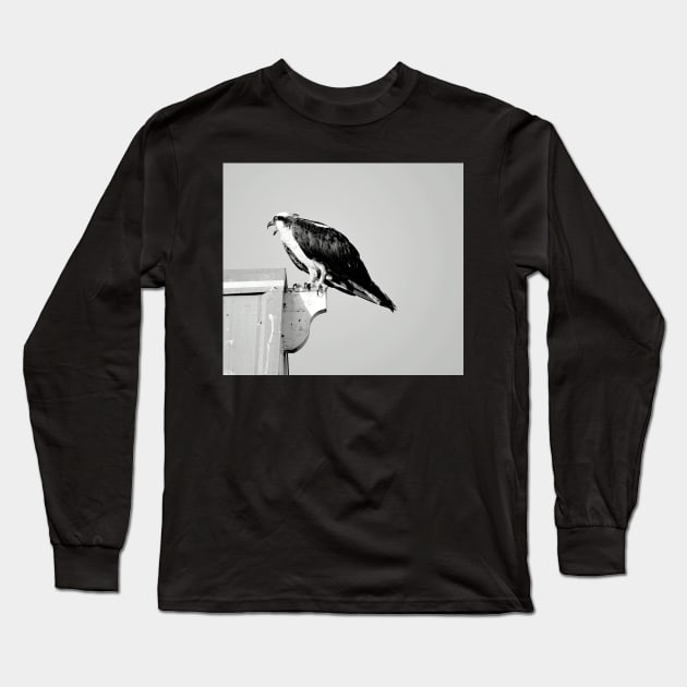 Squawking Osprey Long Sleeve T-Shirt by croper